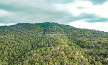 CABAÑA EN VENTA EN SIERRA ENCANTADA, MAZAMITLA