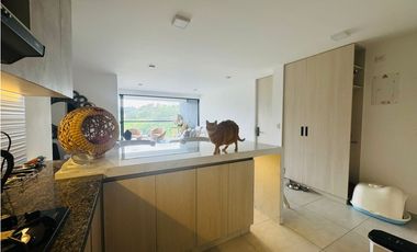 SE VENDE APARTAMENTO EN CERRITOS CON HERMOSA VISTA