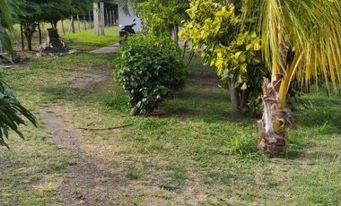 Finca En Mulalo 1000 Mtrs