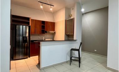 SE ALQUILA APARTAMENTO P.H. ALTOS DE AMADOR