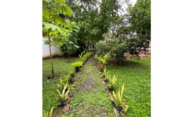 VENTA DE CASA CON 3 CABAÑAS EN CORONADO 2.800 MTS YL