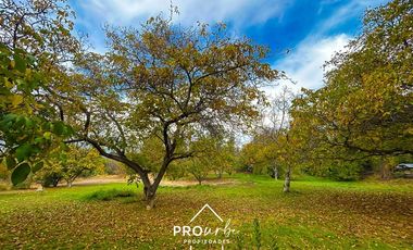 Casa en Venta en Casa Acceso ruta G25, 583 m2 construido 5.900 m2 terreno, El Canelo, San José de Maipo