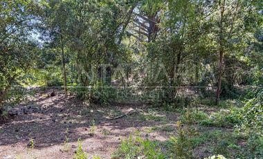 Terreno Construccion en Venta en El Llano, Camino a Santa Juana