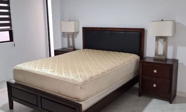 RENTA DE DEPARTAMENTO EN LOMAS HIPODROMO
