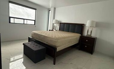RENTA DE DEPARTAMENTO EN LOMAS HIPODROMO