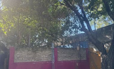 Casa Colonial en el barrio de Guadalupe