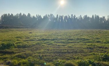 Invierte en Parcelas planas en Curicó Chile