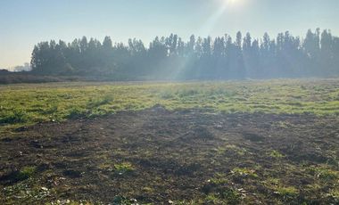 Invierte en Parcelas planas en Curicó Chile