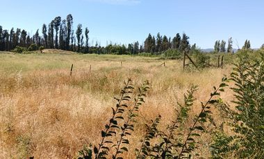Invierte en Parcelas planas en Curicó Chile