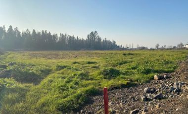 Invierte en Parcelas planas en Curicó Chile