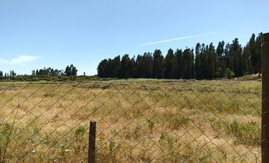 Invierte en Parcelas planas en Curicó Chile