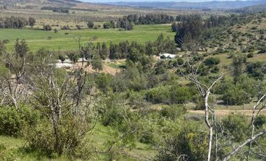 ALTOS DE PUMANQUE