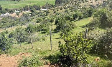 ALTOS DE PUMANQUE