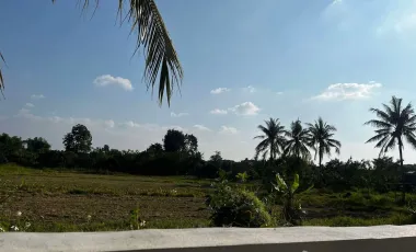 3 Bedroom House for sale in Khun Khong, Chiang Mai