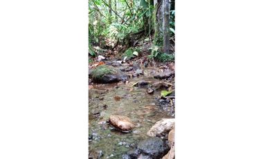 SE VENDE LOTE EN LA BELLA DE 1000 METROS 