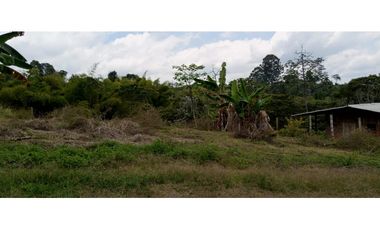 SE VENDE LOTE EN LA BELLA DE 1000 METROS 