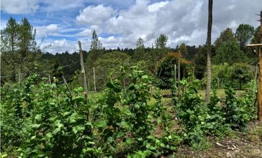HERMOSA FINCA EN VENTA CERCANA CON EL PARQUE ARVI