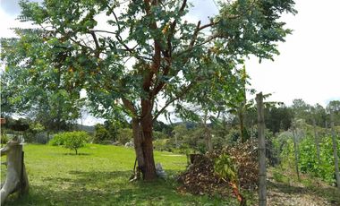 HERMOSA FINCA EN VENTA CERCANA CON EL PARQUE ARVI