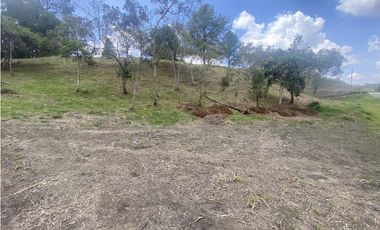 LOTE EN PARCELACIÓN VA SAN ANTONIO - LA CEJA SMG