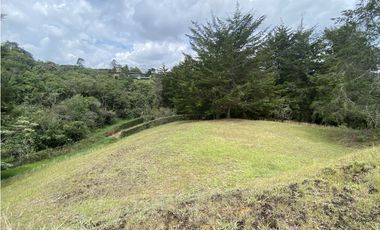 LOTE EN PARCELACIÓN VA SAN ANTONIO - LA CEJA SMG