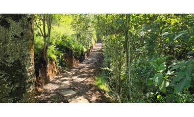 Casa campestre ubicada en el Municipio de La Ceja Antioquia.