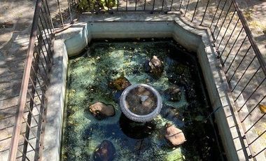 CASA ANTIGUA EN MARFIL CON INCREIBLE JARDIN
