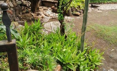 CASA ANTIGUA EN MARFIL CON INCREIBLE JARDIN