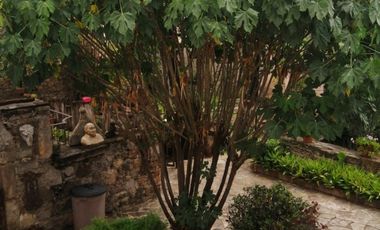 CASA ANTIGUA EN MARFIL CON INCREIBLE JARDIN