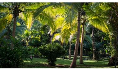 TERRENO TITULADO CON  PISCINA  / FRENTE AL MAR /  PORTOBELO / 5,500 M2
