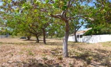 TERRENO / CORONADO / ALCAZAR PARK / 1100m2