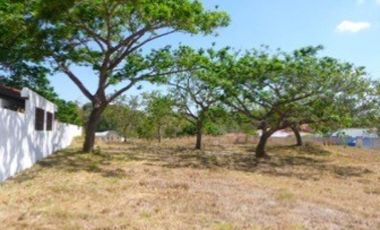 TERRENO / CORONADO / ALCAZAR PARK / 1100m2