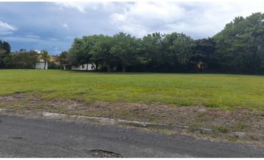 SE VENDE LOTE / PALMERAS DEL GOLF / CORONADO / 1100 M2