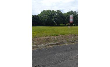 SE VENDE LOTE / PALMERAS DEL GOLF / CORONADO / 1100 M2