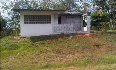 FINCA EN CHORRERA / EL LIRIO / 23.5 HECTAREAS / PRECIO NEGOCIABLE
