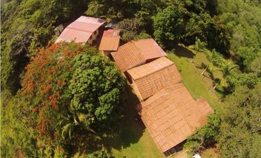 FINCA EN CHORRERA / EL LIRIO / 23.5 HECTAREAS / PRECIO NEGOCIABLE