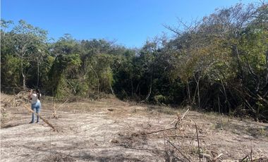 SAN CARLOS / COSTA ESMERALDA / 9800M2 / ANTEPROYECTO PARA 16 CASAS