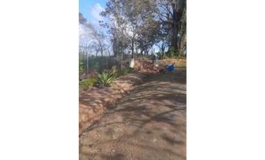 CHORRERA / LOS COROZALES / TERRENO / 1 HECTAREA / CON SIEMBRA