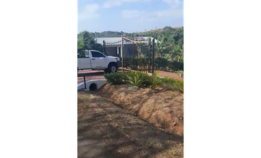 CHORRERA / LOS COROZALES / TERRENO / 1 HECTAREA / CON SIEMBRA