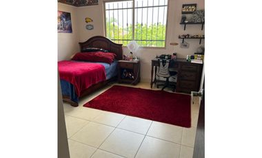 CONDADO DEL REY / PASEO DORADO / 3 HABITACIONES / CON AIRES / 374m2