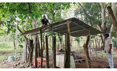 CHAME / FINCA EN BEJUCO / 10 HECTAREAS / CERCA DE LA INTERAMERICANA