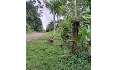 CAPIRA / VENTA DE TERRENO PLANO / 2 HECTAREAS