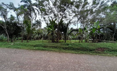 CAPIRA / VENTA DE TERRENO PLANO / 2 HECTAREAS
