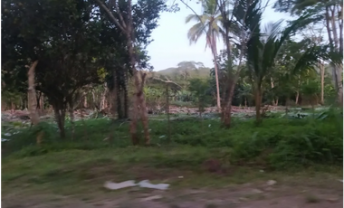 CAPIRA / VENTA DE TERRENO PLANO / 2 HECTAREAS