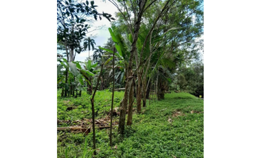 CAPIRA / VENTA DE TERRENO PLANO / 2 HECTAREAS