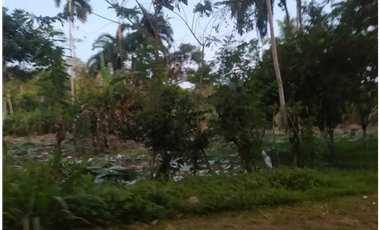 CAPIRA / VENTA DE TERRENO PLANO / 2 HECTAREAS