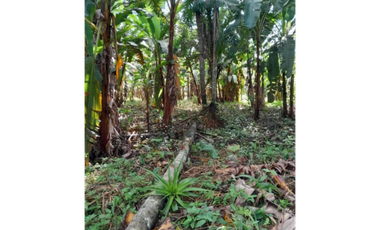 CAPIRA / VENTA DE TERRENO PLANO / 2 HECTAREAS