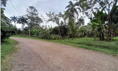 CAPIRA / VENTA DE TERRENO PLANO / 2 HECTAREAS