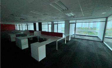 COSTA DEL ESTE / OFICINA / PLAZA REAL / 600M / VACIA