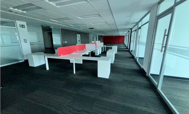 COSTA DEL ESTE / OFICINA / PLAZA REAL / 600M / VACIA
