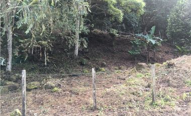 SAN CARLOS / TERRENO A LA ORILLA DE LA LAGUNA / 4800M2